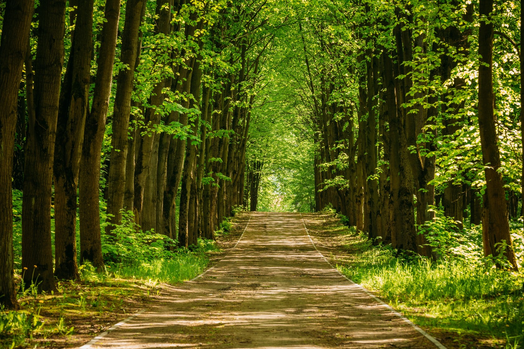 Spain Specialist Program: Rutas culturales y otros productos routes_eses